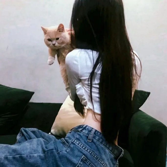 天外来菌
